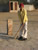 Sansar playing cricket